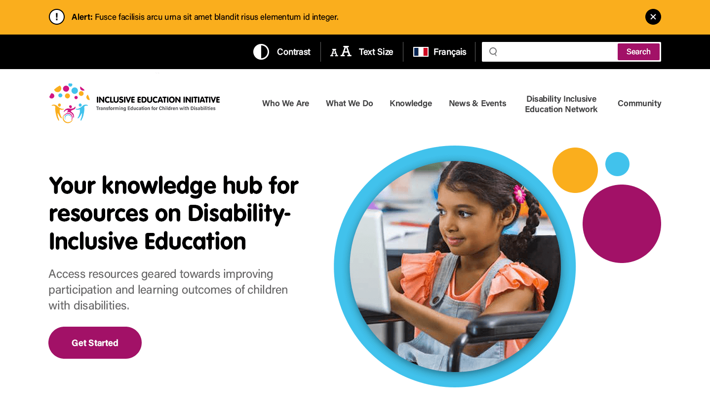 The newly designed IEI homepage website